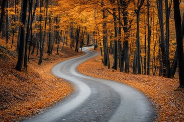 Fototapeta premium Winding Road Through Autumnal Forest Canopy