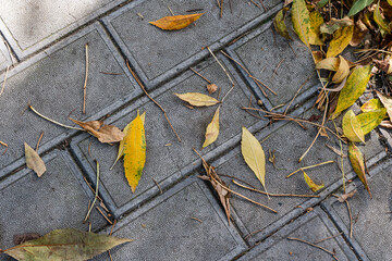 Textured stone sidewalk background outdoor