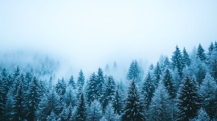 Majestic winter forest covered in snow creating a serene and tranquil atmosphere