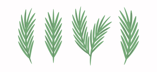 Obraz premium Vector set of various pine branches isolated on a light background. Minimalist decorative collection for greeting cards, invitations, winter designs, packaging, etc.