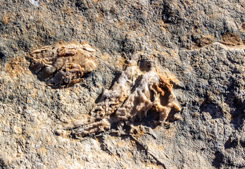 The Majestic Djebel Ousselat. A Limestone Mountain in the Tunisian Dorsal Range