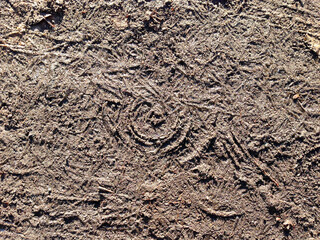 patterns in dirty snow