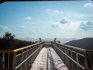 Obraz premium 축령산의 겨울