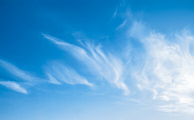 Beautiful cirrus clouds in the dark blue sky. Bright sunlight with soft clouds. Clear midday scene in the air at amazing weather