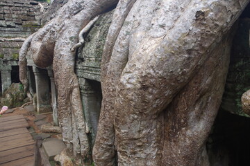 angkor