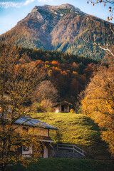 autumn landscape in the mountains