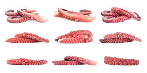 Raw octopus tentacles isolated on white, collage