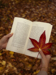 Livre et feuille d'automne
