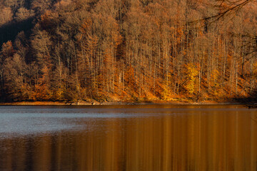Late autumn sunset light at the lake in Firiza, Romania