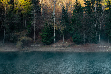 Late autumn sunset light at the lake in Firiza, Romania
