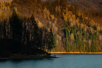 Late autumn sunset light at the lake in Firiza, Romania