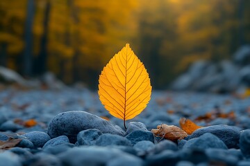 A single yellow autumn leaf stands out against a backdrop of gray rocks