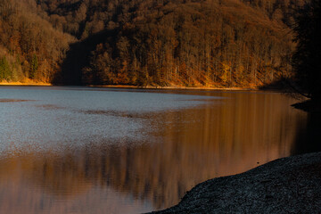 Late autumn sunset light at the lake in Firiza, Romania