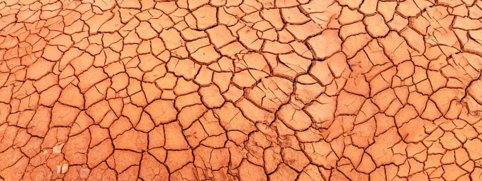 Nature background of cracked dry lands. Natural texture of soil with cracks. Broken clay surface of barren dryland wasteland close-up. Full frame to terrain