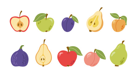 Summer garden fruits with leaves. Apple, plum, pear, apricot, peach, fig. Hand drawn vector cartoon collection.