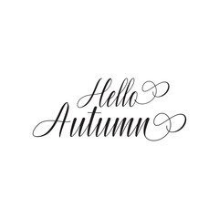 Hello Autumn text Hand Lettering . Ink brush pen vector calligraphy. Hand lettering seasonal phrase. Fall season. vector illustration. EPS 10/AI
