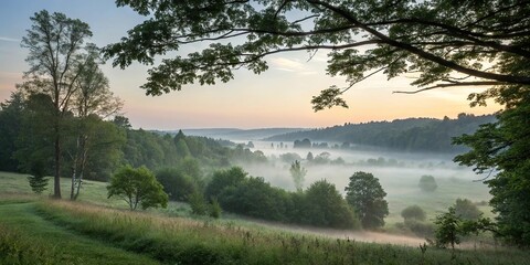 Obraz premium Misty dawn breaks through the forest canopy, fog, natural light