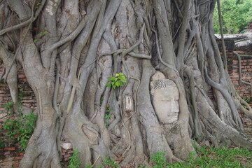 ayutthaya