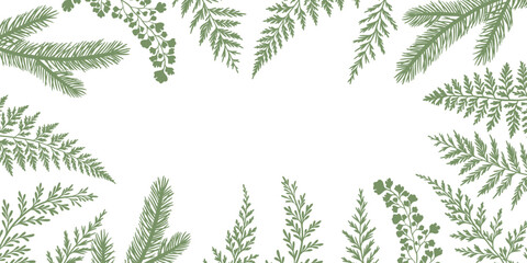 Forest foliage frame vector illustration, botanical plant silhouettes, pine and fern natural background with empty space, isolated © Kati Moth