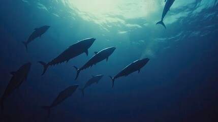Fototapeta premium Graceful School of Fish Swimming Beneath the Ocean Surface in a Serene Underwater Setting With Rays of Light Piercing Through the Water