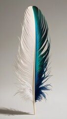 feather on a black background