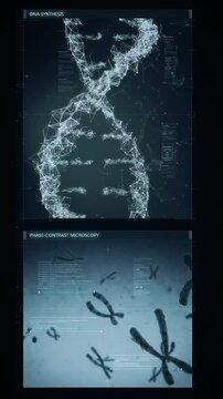 Futuristic technological interface analyzing human DNA. Medical profile of patient showing, genome sequence, DNA visualization, cell mitosis, chromosome animation. Healthcare information.