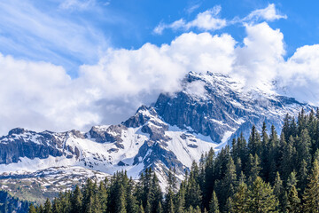 Fototapeta premium The Swiss Alps at Murren, Switzerland. Jungfrau Region. The valley of Lauterbrunnen from Interlaken.