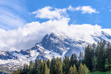 View of beautiful landscape in the Alps with fresh green meadows and snow-capped mountain tops in the background on a sunny day with blue sky and clouds in springtime.