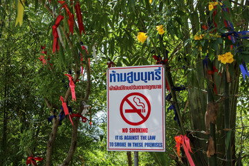 Smoking is prohibited in forest areas. Violators will be punished according to the law.