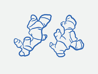 Hand-drawn ginger Illustration Set. Line art, ink, minimalist style. Vector illustration.