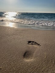 beach