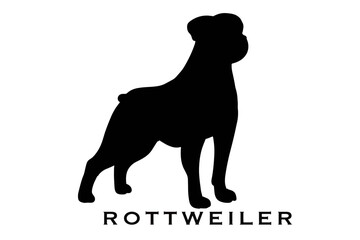Vector silhouette of a Rottweiler, showcasing its strong and recognizable profile in a minimalist style