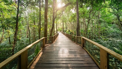 Obraz premium 푸른 숲속을 따라 이어진 나무데크 산책로
