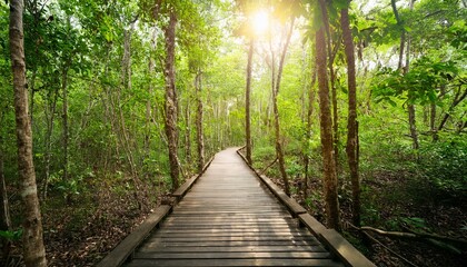 Fototapeta premium 푸른 숲속을 따라 이어진 나무데크 산책로