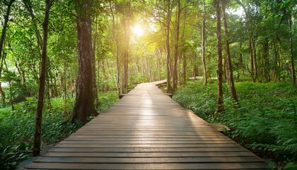 푸른 숲속을 따라 이어진 나무데크 산책로