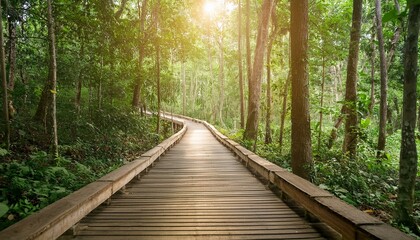 Obraz premium 푸른 숲속을 따라 이어진 나무데크 산책로