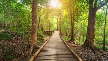 Fototapeta premium 푸른 숲속을 따라 이어진 나무데크 산책로