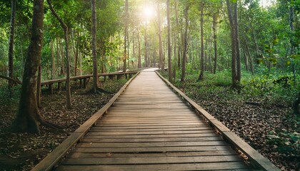 푸른 숲속을 따라 이어진 나무데크 산책로