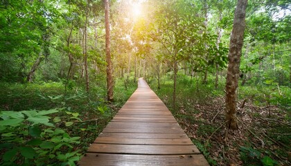 푸른 숲속을 따라 이어진 나무데크 산책로