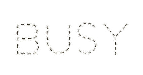 ants assembled to spell the word busy