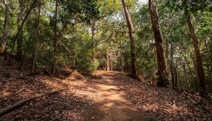 푸른 숲속을 따라 이어진 산책, 트레일 코스