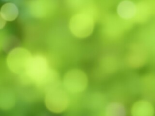 Fototapeta premium Soft focus background with white light blur, abstract, illumination