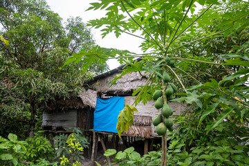 Streets and houses in the Peruvian jungle, in the community of Independencia in Iquitos, Peru.