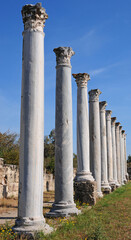 Salamis Antique City and King Tombs in Cyprus is an important ancient settlement.