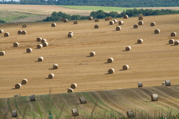 strohballen auf feldern