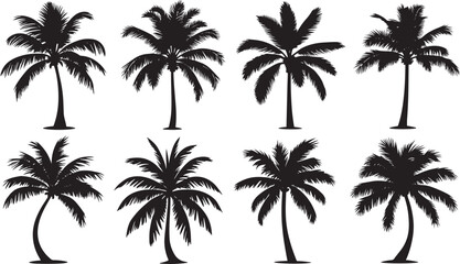 Vector Palm Tree Silhouettes
