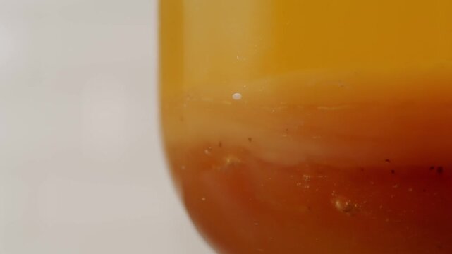 Kombucha tea, scoby fungus homemade Kombucha fermented drink, bacteria and yeast, fermentation, probiotic, Scoby, mushroom pro biotic, healthy fermented tea