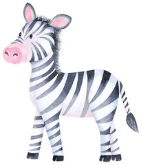 Cute zebra in cartoon style. Watercolor Drawing african baby wild animal isolated on white background.Jungle safari animal.