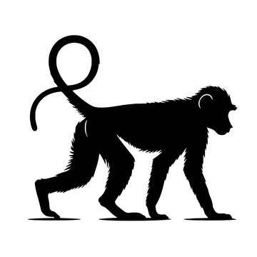 recommend clip art: Monkey vector illustration isolated with curled tail and fur details in silhouette perfect for zoo promotions and wildlife art themes
                    