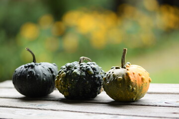 Ornamental pumpkins on wooden table, bokeh background with yellow blooming flowers, autumn background with pumpkins, selective focus, blurred background, space for text.